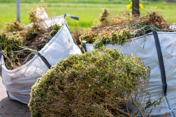 Best Junk Removal Near Me  in St Clair, MI