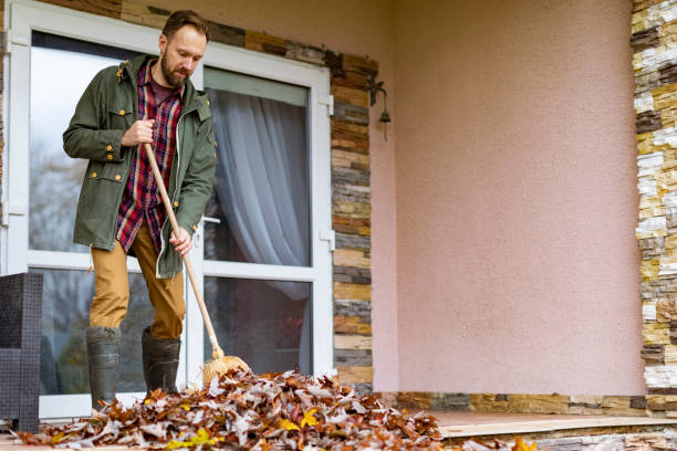 Best Trash Removal Near Me  in St Clair, MI