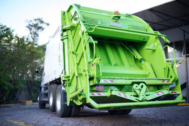 Best Yard Cleanup Services  in St Clair, MI